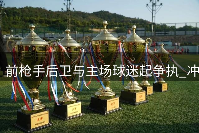 前枪手后卫与主场球迷起争执 冲突画面曝光或遭英足总裁处